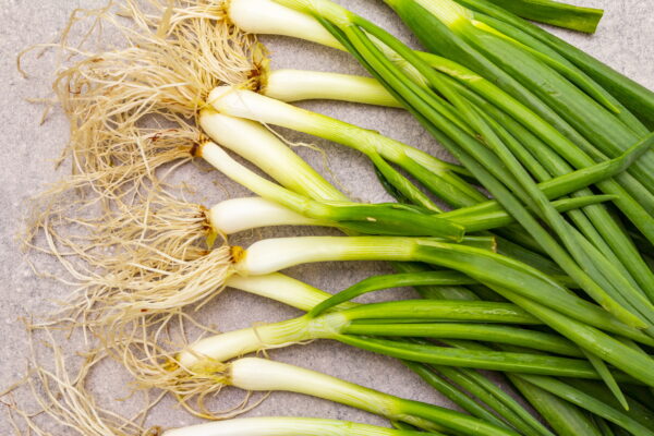 Two Spring Onions Leave SPRING ONION LEAVE (MALAYSIA) 青葱 – Everich